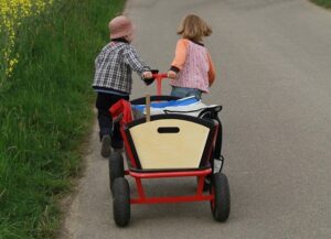 Parent choosing the perfect childrens wagon for the family