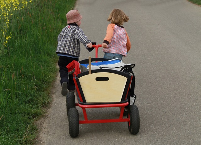 The Ultimate Guide to Choosing the Perfect Children’s Wagon