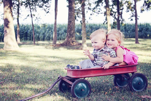 5 Exciting Wagon-Friendly Day Trips for Families